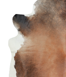 Brown with Red Cowhide Rug #A21104