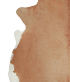 Beige Cowhide Rug #A21161