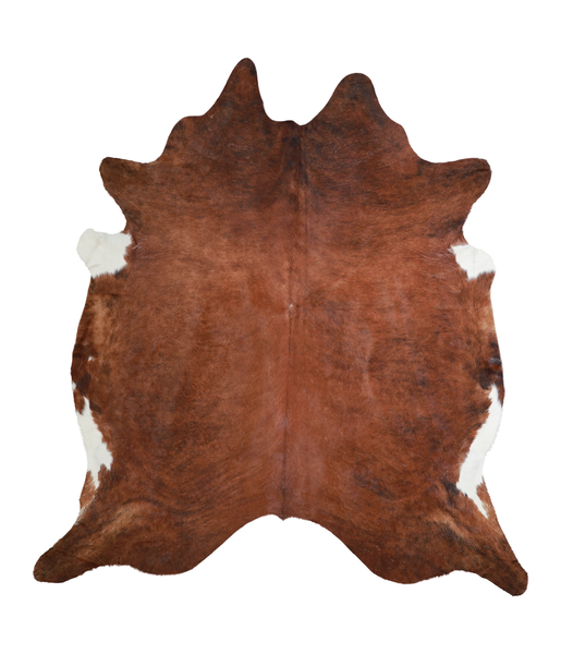 Brown and White Regular Cowhide Rug #A21219