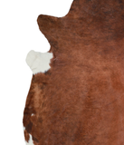 Brown and White Regular Cowhide Rug #A21219