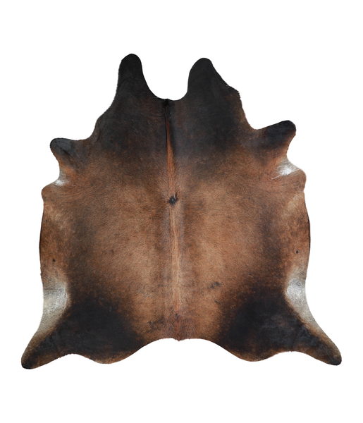 Brown with Red Cowhide Rug #A21274