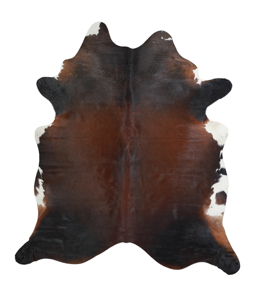 Brown with Red Cowhide Rug #A21285