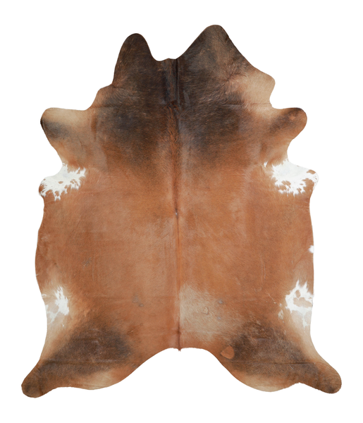 Brown with Red Cowhide Rug #A21301