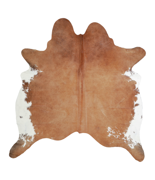 Brown and White Regular Cowhide Rug #A21336