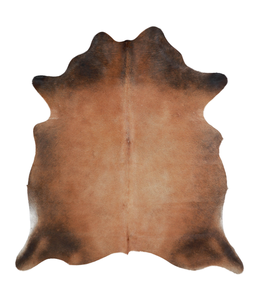 Brown with Red Cowhide Rug #A21540