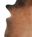 Brown with Red Cowhide Rug #A21540