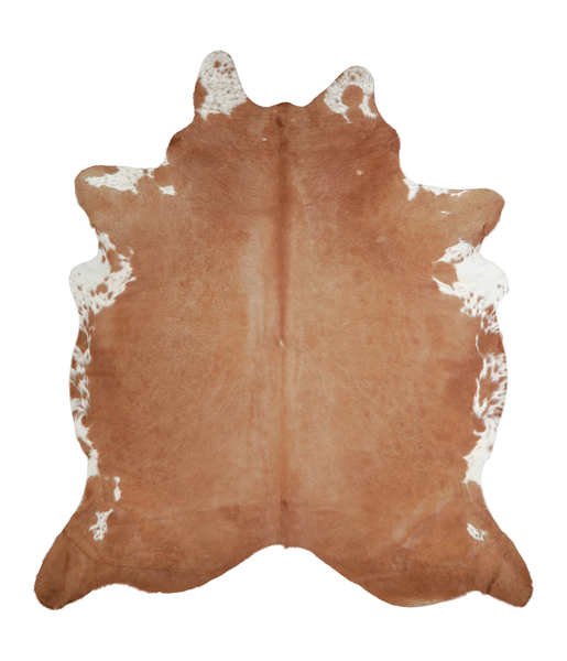 Brown and White Regular Cowhide Rug #A21549
