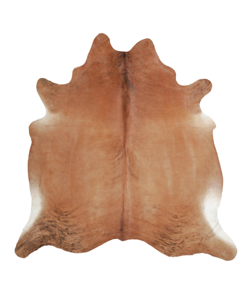 Solid Brown Cowhide Rug #A21611