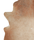 Solid Brown Cowhide Rug #A21617