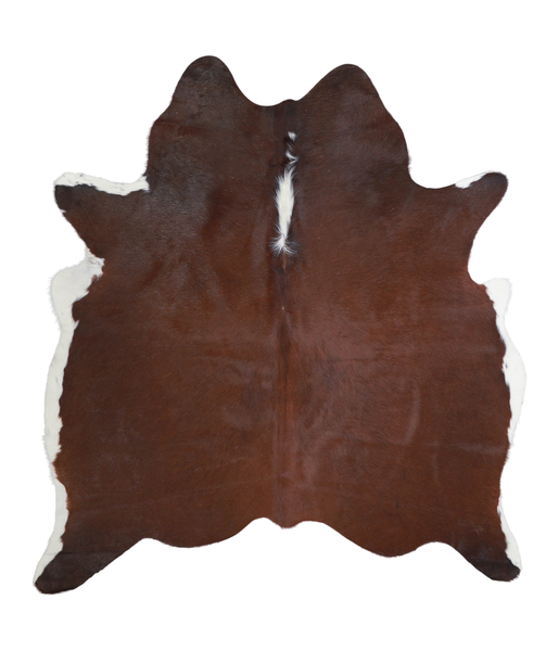 Brown and White Regular Cowhide Rug #A21689