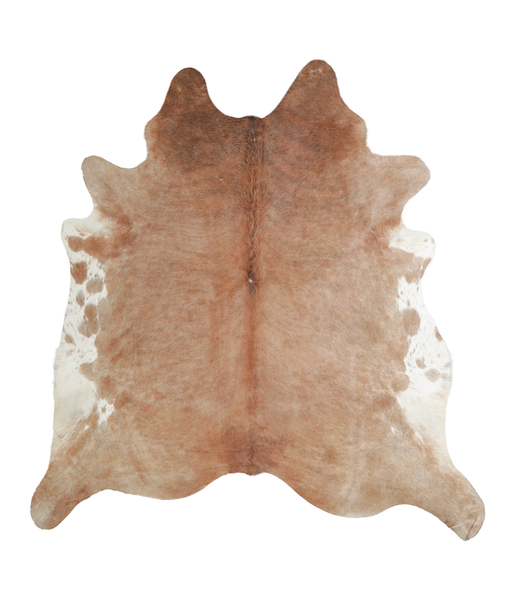 Brown and White Regular Cowhide Rug #A21800