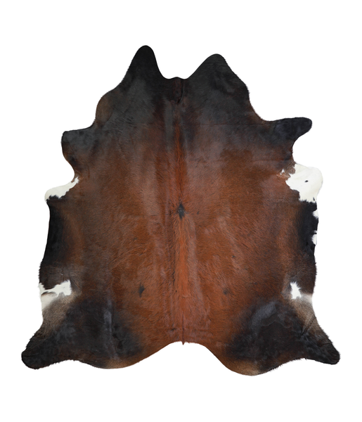 Brown with Red Cowhide Rug #A21821