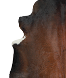 Brown with Red Cowhide Rug #A21821