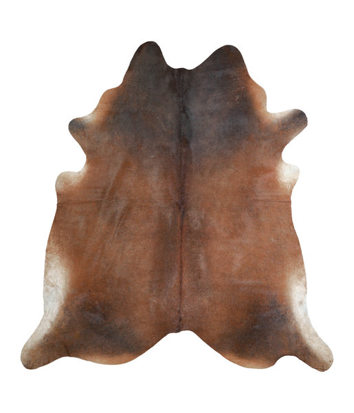 Brown with Red Cowhide Rug #A21824