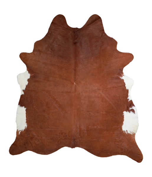 Brown and White Regular Cowhide Rug #A21830