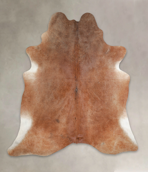 Caramel Cowhide Rug #A21996