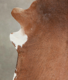 Solid Brown Cowhide Rug #A21997