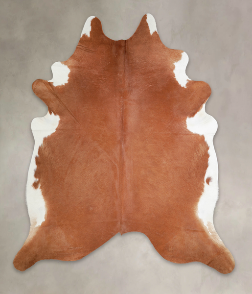 Brown and White Regular Cowhide Rug #A22031