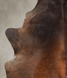 Brown with Red Cowhide Rug #A22034