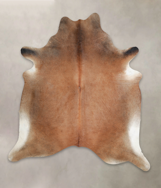 Brown with Red Cowhide Rug #A22035