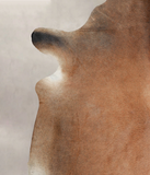 Brown with Red Cowhide Rug #A22035