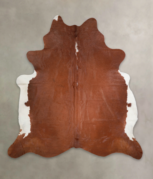 Brown and White Regular Cowhide Rug #A22112