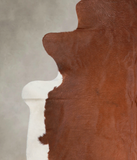 Brown and White Regular Cowhide Rug #A22112