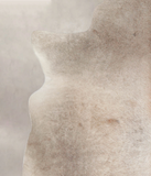Grey with Beige Cowhide Rug #A22126