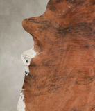 Medium Brindle Cowhide Rug #A22129