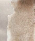 Grey with Beige Cowhide Rug #A22155