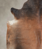 Brown with Red Cowhide Rug #A22181