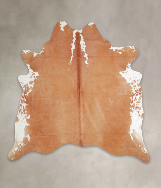 Brown and White Regular Cowhide Rug #A22262