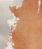 Brown and White Regular Cowhide Rug #A22262