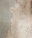 Taupe Cowhide Rug #A22297