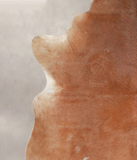 Solid Brown Cowhide Rug #A22304