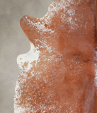 Salt and Pepper Brown Cowhide Rug #A22377