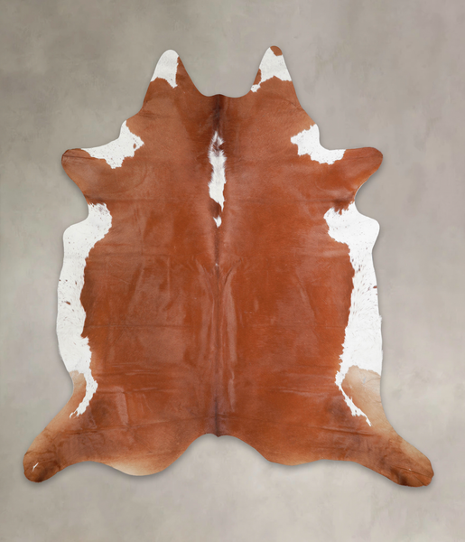 Brown and White Regular Cowhide Rug #A22424