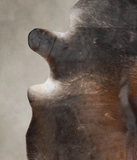 Dark Grey Cowhide Rug #A22439