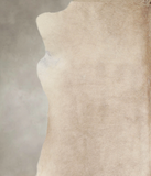 Champagne Cowhide Rug #A22466