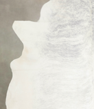 Grey Brindle Cowhide Rug #A22526