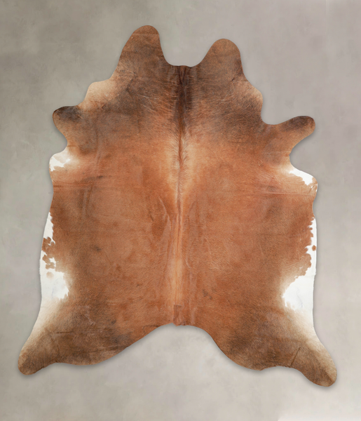 Brown with Red Cowhide Rug #A22551