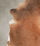 Brown with Red Cowhide Rug #A22551