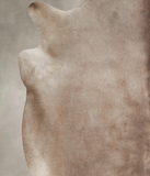 Taupe Cowhide Rug #A22849