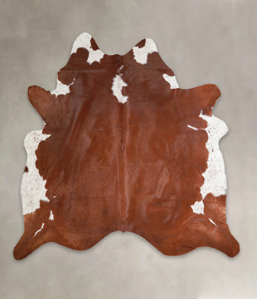 Brown and White Regular Cowhide Rug #A22863
