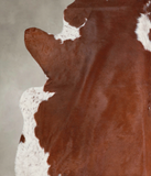 Brown and White Regular Cowhide Rug #A22863