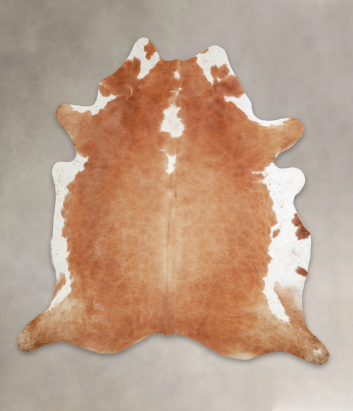 Brown and White Regular Cowhide Rug #A23014