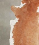 Brown and White Regular Cowhide Rug #A23014