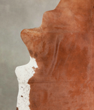 Brown and White Regular Cowhide Rug #A23033