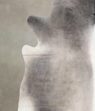 Dark Grey Cowhide Rug #A23041