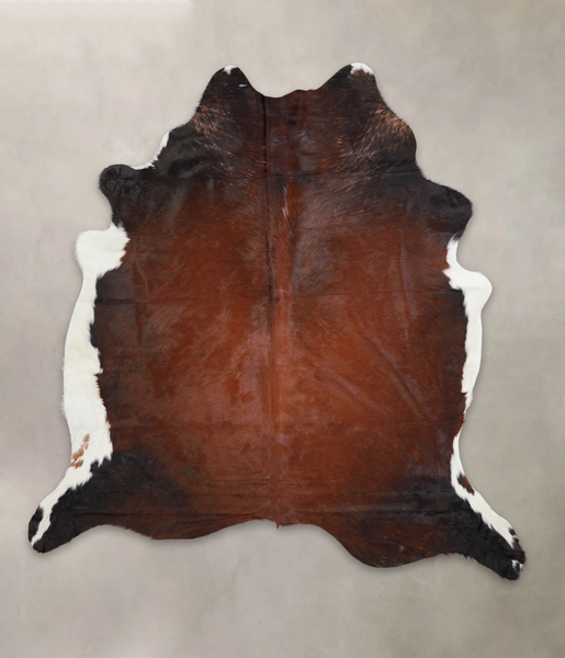 Brown with Red Cowhide Rug #A23050
